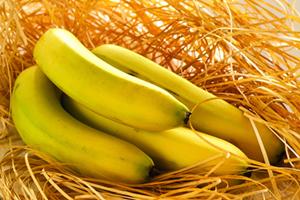 【香蕉】上帝賜予的智慧之果——香蕉