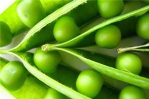 【豌豆】不能錯過的營養美食——豌豆